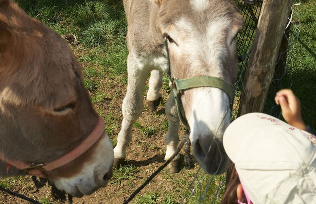VVF Haute Loire Haute Ardèche, Tence - Photo 23