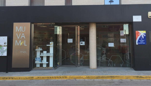 Visita al Museo Valenciano de la Miel - Photo 2