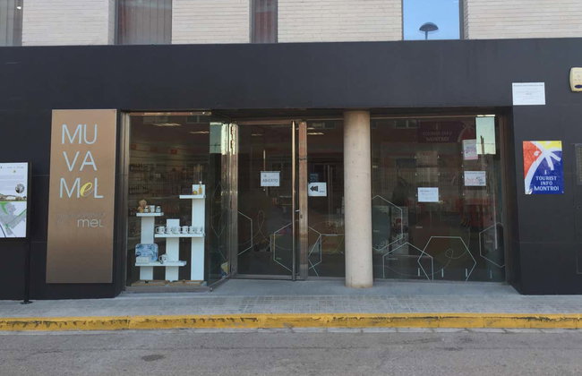 Visita al Museo Valenciano de la Miel - Foto 2