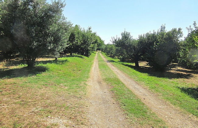 Villa i Noccioli - 18 Sleeps Private Pool - Foto 72