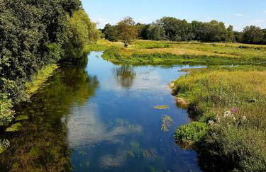 Ferienhaus am See Goch Kessel - Foto 33
