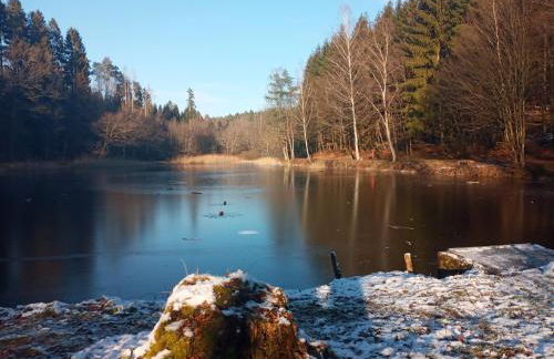 Wohnung am Schwimmteich - Foto 14