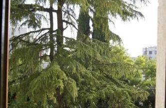 Casa di Noah - Foto 30