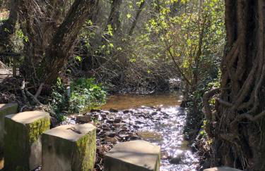 ALOJAMIENTO RURAL EL CASTAÑO - Foto 64