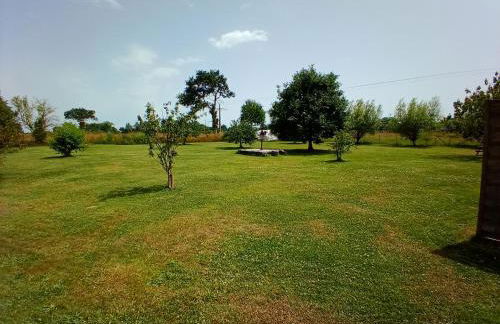 La Ferme d' Emerentine - Foto 43