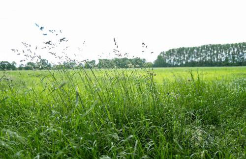 AMTENBRINKSHOF Appartements - Foto 27