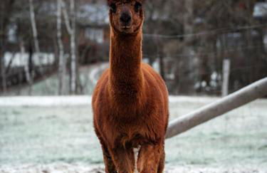 Blockhaus am Edersee - Foto 27