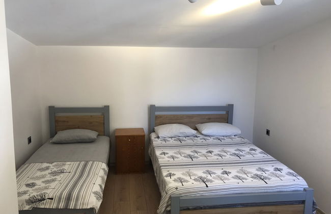 Foça suit - Foto 13