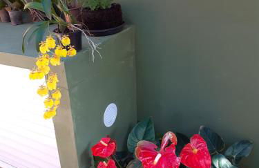 Vila Figueiredo das Donas - Photo 23