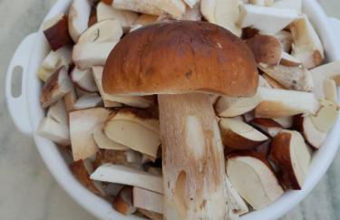 Soubey (Clairbief) - Foto 11