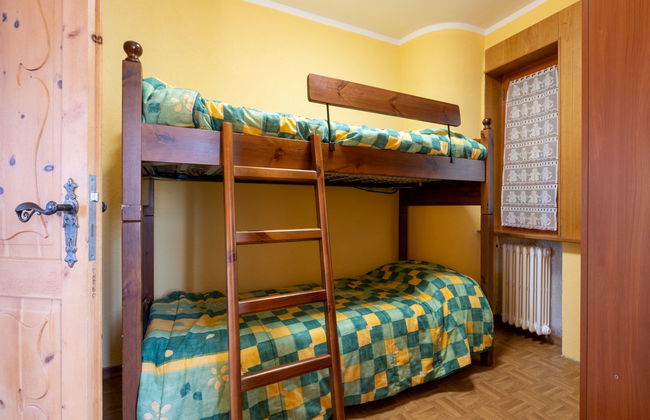 Hérisson - Photo 11