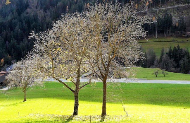 Attractive Apartment Near Lake Santa Croce - Foto 26