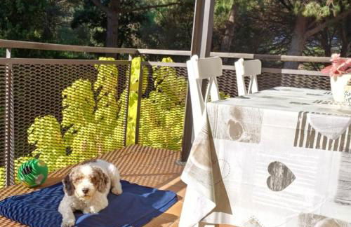 Apartment Sa Boadella beach, Lloret de Mar - Costa Brava - Foto 23