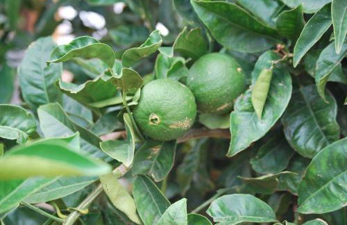 Casa Rural Las Llanadas - Foto 45