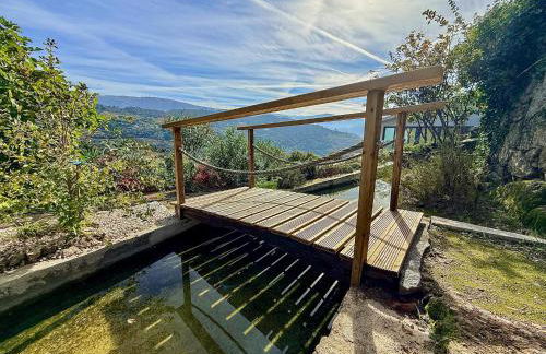 Bosque da Fantasia - Foto 70