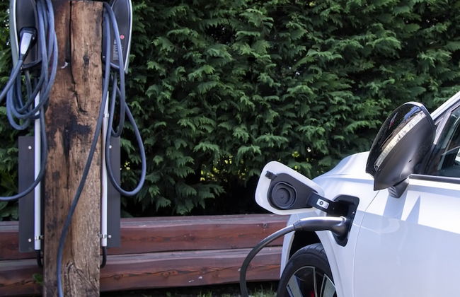 Agriturismo Ca' del Lago - Foto 66