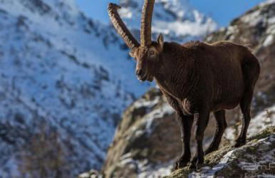 Villetta PiemartinCove - Foto 43