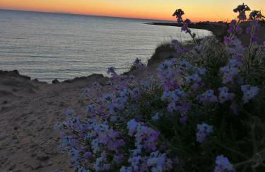 Casa Tramonto - Foto 47