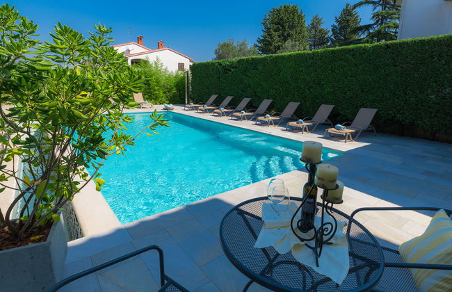 Salamander - Foto 22