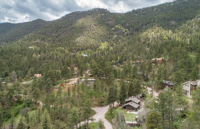 4BR Mountain Getaway Pikes Peak, Dog-friendly! - Foto 52