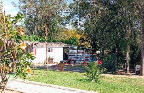 Tiny House Koala Valdareina, PISCINE CHAUFFEE, Bénagil-Carvoeiro - Foto 26