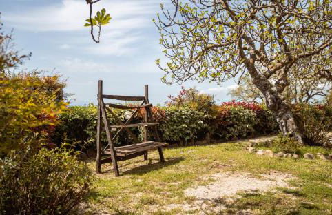 Bio Agriturismo I Lapi - Foto 23