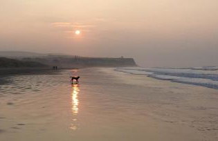 Creative Art Cabin, Causeway Coast, beach 10 mins - Foto 25