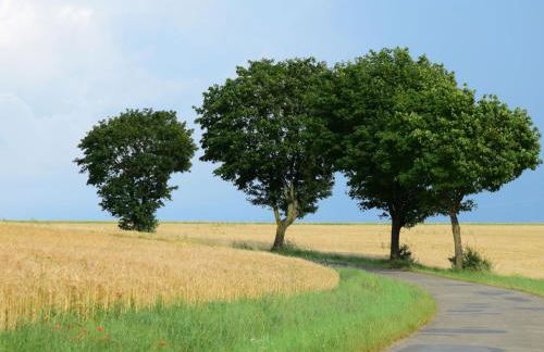 Holiday Home Nassauer Forsthaus by Interhome - Foto 34