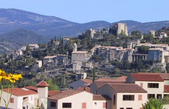 Apartment in Montbrun-les-bains Near Forest - Foto 78