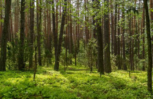 UTASIÓWKA Mazury - Photo 22