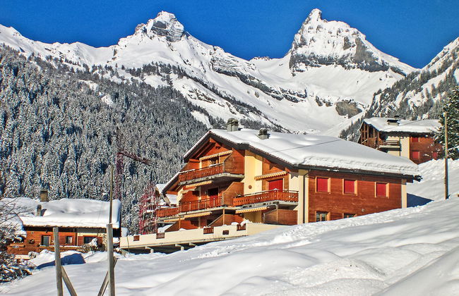 Caroubier 2 - Foto 2