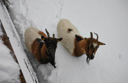 Innertrein - Photo 53