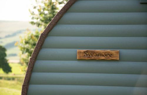 Wild Northumberland Glamping - Foto 40