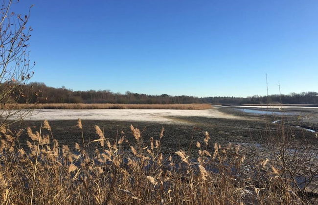 Country House in Leende Near Leenderbos Forest - Foto 40