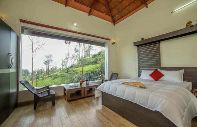 Blue Nile Suits By Indostay - Foto 2