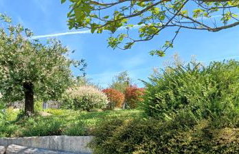 Apartman BIBA - Foto 24