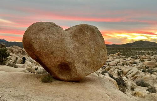 Casa Luisa Joshua Tree - Foto 41
