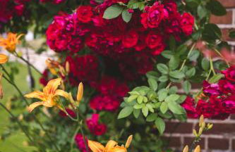 Dom dla dwojga w Starym Młynie w Brzeźnicy - Foto 43