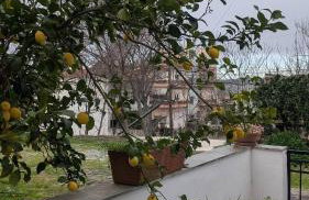 Iolkos House - Foto 17