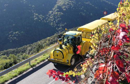 Casa Turística Viladonatus (Ribeira Sacra) - Foto 15