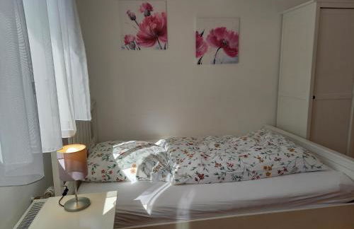 Bauernhof Sesterhenn - Foto 26