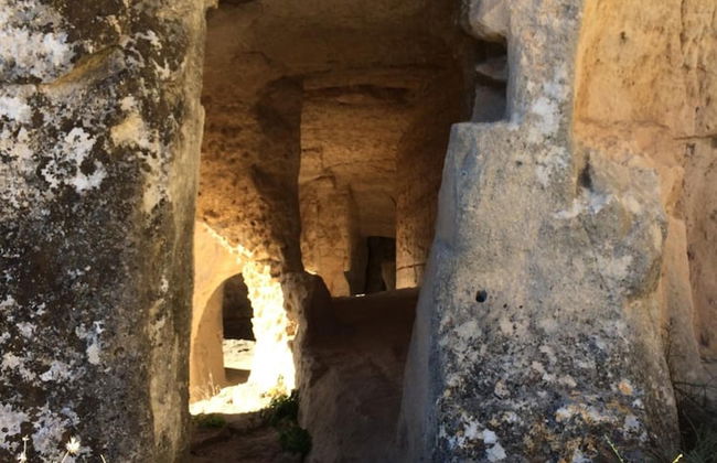 Ofra Matera - Foto 44