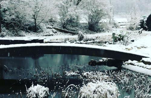 Ferienwohnungen Landliebe "Auszeit mit Wohlgefühl" - Foto 9