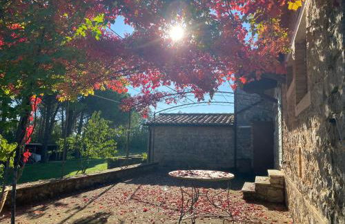 Country House Montecchio - Foto 27
