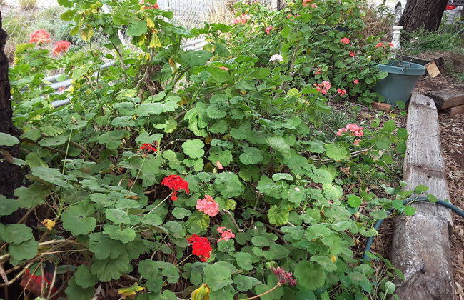 Bourke Apartments - Foto 48