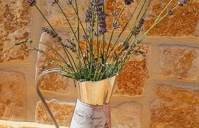 Beach House Calendula - Foto 54