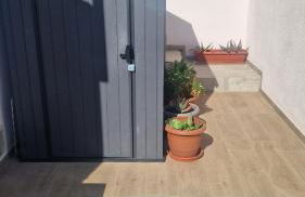 Beach Life Carabassi Beach Gran Alacant - Photo 30