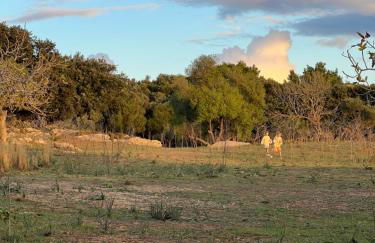 Finca es Born - vistas panorámicas - Photo 39