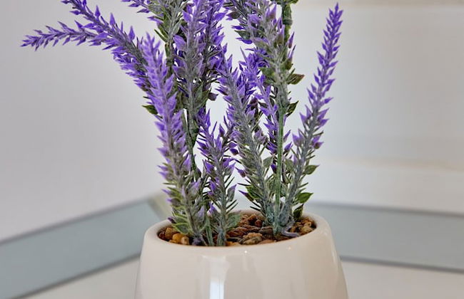 Grup Casa Del Mar - Foto 3