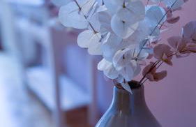 Ferienhaus Auszeit - Photo 21